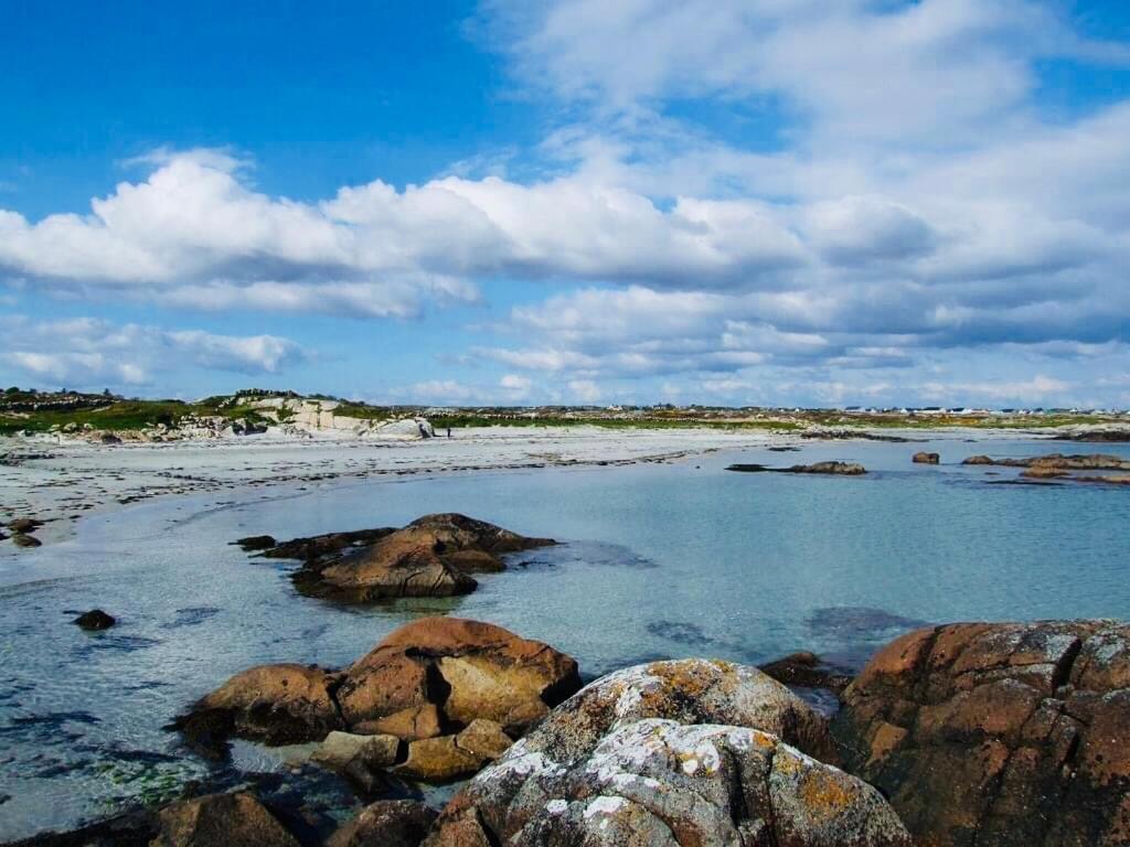 Wild Atlantic Stay Cottage غالواي المظهر الخارجي الصورة